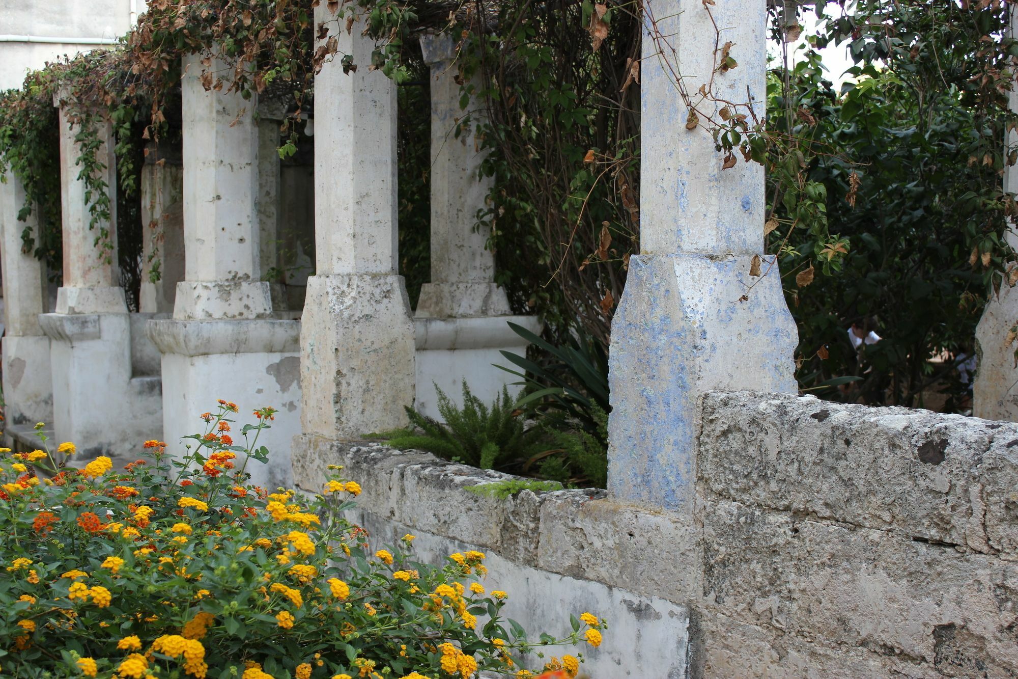 Masseria Pagani Nardo Exterior photo