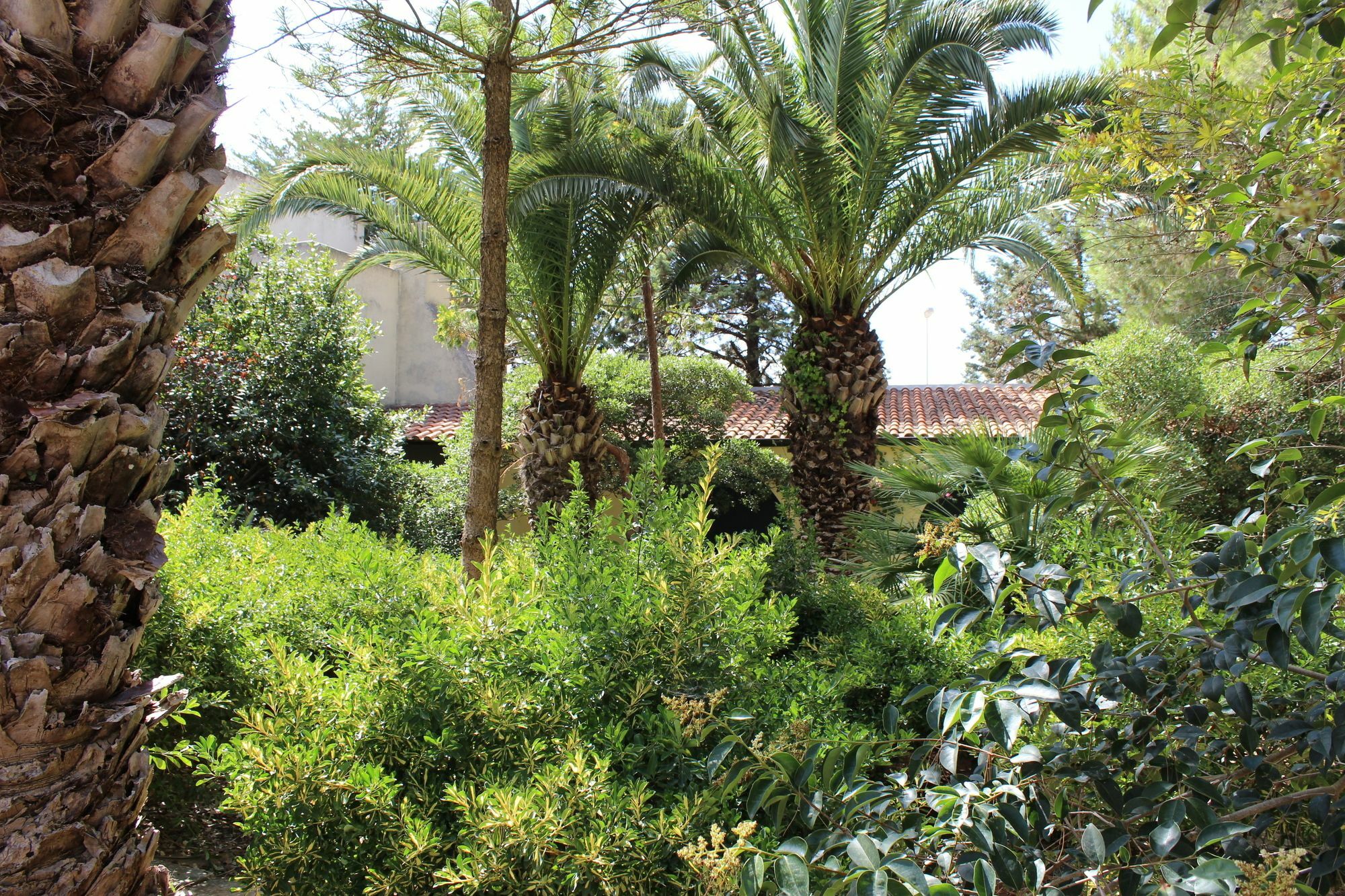 Masseria Pagani Nardo Exterior photo